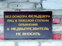 Алексей Гордеев пожалел нетрезвых воронежцев и предложил открыть медвытрезвитель
