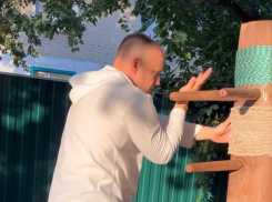 Мастерское избиение деревянного противника показал на видео воронежский чиновник