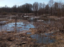 Вывалили мусор прямо в реку: под Воронежем ищут тех, кто устроил свалку в Усмани
