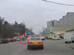 Фартовый пешеход-сайгак поиграл на нервах воронежских водителей 