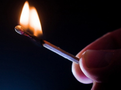 В Воронежской области мужчина облил бензином и поджог собаку на глазах детей