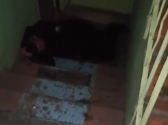 Ночлежку для бомжей устроили воронежцы из подъезда многоэтажки