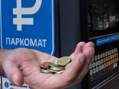 Штрафы более, чем на 1 млн рублей получили за неделю воронежцы за платные парковки