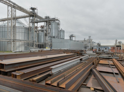 Крупная новая птицефабрика появится в Воронежской области 