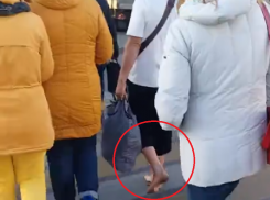 Ноябрьскую прогулку босого воронежца в шортах сняли на видео