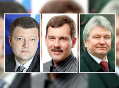 «Воронежский спикер либо женился, либо нарушил закон в 2015 году»