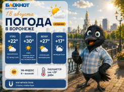Жаркие дни и холодные ночи: прогноз погоды в Воронеже