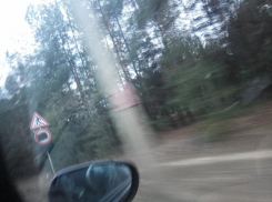 Воронежцев предупредили о подлой подставе вандалов на дороге