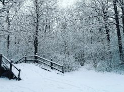 Как зимняя сказка окутала Воронеж в марте 