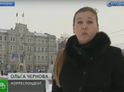 Скандал с воронежской новогодней елкой за баснословную сумму показал канал НТВ