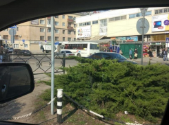 Маршрутчики бросили вызов чиновникам в Воронеже