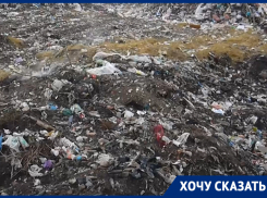 Воронежский департамент экологии дал ответ по возгоранию свалки в Калаче