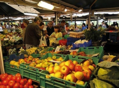 Число рынков в Воронеже сократят до 13