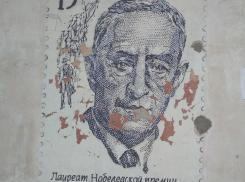 Познавательное граффити в центре воронежских трущоб показали на фото