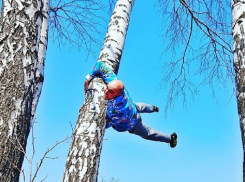 В феноменальной позе на березе обнаружили воронежца 
