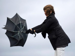 Арктический воздух принесет ночные заморозки в Воронеж