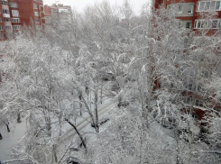 Воронежцев на рабочей неделе ждут снег и морозы 