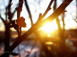 На рабочей неделе в Воронеже потеплеет до +17 °С