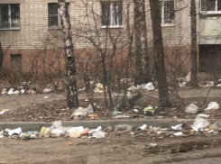 За четыре дня 2020 года на воронежской улице наступил мусорный ад
