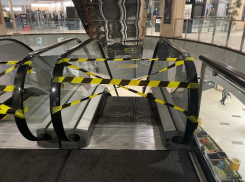 В каких общественных местах потребуют QR-код с 13 ноября в Воронежской области 