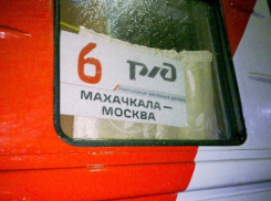 Пропавшую в Воронеже 15-летнюю девушку нашли в Дагестане