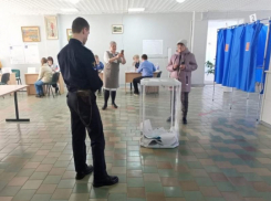 Вынесен приговор женщине, залившей зеленкой урну на выборах в Воронежской области