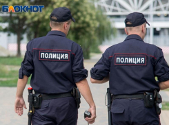 Нелегальные мигранты бесплатно работали на дачах воронежских полицейских