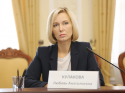 В мэрии Воронежа признали, что престижная гимназия не откроется 1 сентября