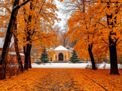 Первые морозы наступают: какой будет последняя неделя ноября