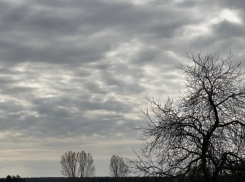 Погода заставит воронежцев пожаловаться мэру на отключённое отопление 