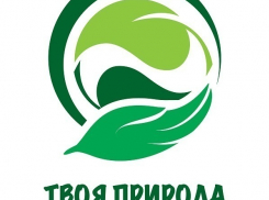 В Воронежской области пройдет межрегиональный экологический фестиваль «Древо жизни»