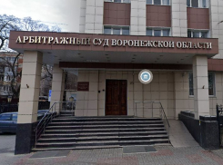 Отмены уголовного дела добивается воронежская судья Светлана Мальцева
