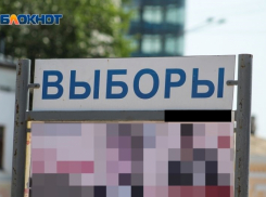Дистанционное голосование применят на выборах президента в Воронежской области