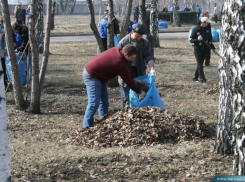 «Днем - уборка, вечером - обращения горожан». Почему чиновники работают дворниками и когда в Воронеже будет порядок