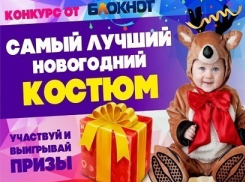 Стартует голосование в фотоконкурсе «Самый лучший новогодний костюм!»