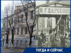 Плоды героического труда великого садовода меняют на пустыню в Воронеже