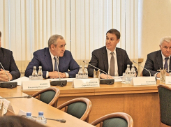 В Госдуме продолжили воронежский троллинг Медведева по развитию села