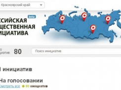 В правительстве области взялись за проект Владимира Путина «Общественные инициативы»