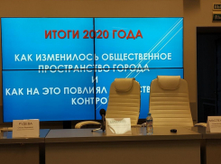 Итоги 2020 года: как изменился Воронеж и общественные процессы в нем