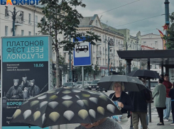 Ограничить скорость движения по проспекту Революции предложил воронежский депутат