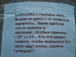 Жители Воронежа объявили в розыск лето