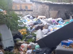 Бастрыкин заинтересовался мега-свалкой, заполонившей улицу в Воронеже