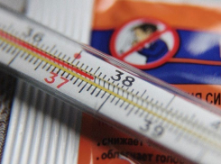 В Воронежской области заболеваемость ОРВИ стала ниже эпидпорога