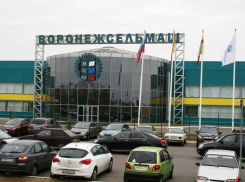 Бизнесмен Чуйко продал «Воронежсельмаш» бывшему партнеру сына Гордеева