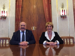 Воронежский вице-премьер Елена Фаддеева порвала со «звёздостраданиями»