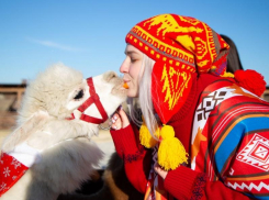 Альпаки, хаски, Новый год: как воронежцам попасть на необычные ёлки 