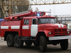 В Эртильском районе сожгли дорогую иномарку