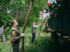 Алексей Гордеев, экологи и волонтеры расчистили берег воронежской реки