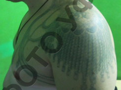 Что значит татуировка криминального авторитета, на которого возбудили уголовное дело в Воронеже