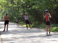 В Воронеже осенью будут реконструировать «Олимпик»